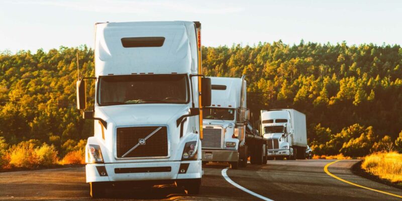 wego_transporte_externos_02