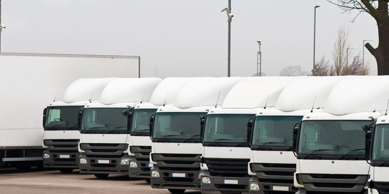 wego_transporte_externos_03